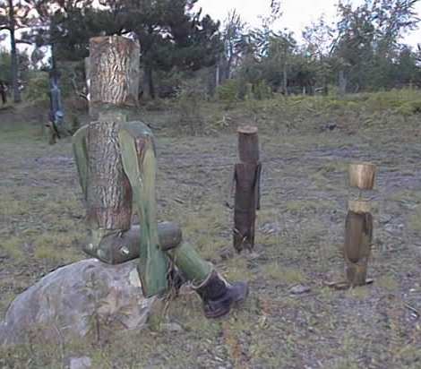 Image117