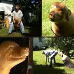 Sculptures sur bois